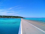 IMG_1033.jpg