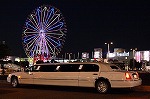 IMG_1072.jpg