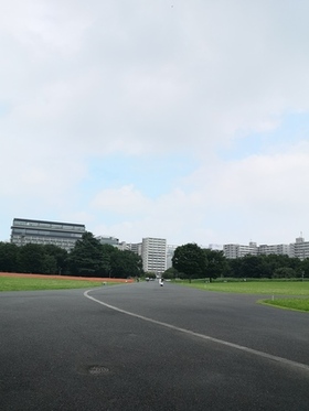 IMG_20200731_130024.jpg