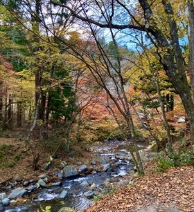 IMG_3594.jpg